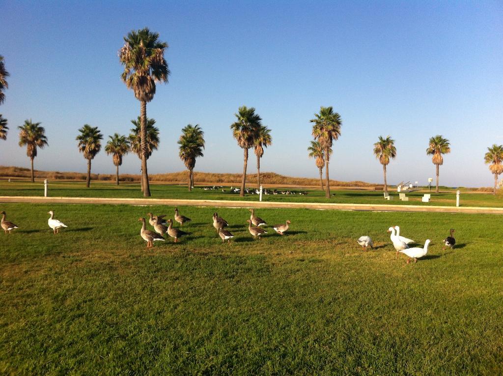 Life Apartments Costa Ballena Apartament